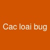 Cac loai bug