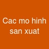 Cac mo hinh san xuat