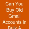 Can You Buy Old Gmail Accounts in Bulk? A Seller’s Perspective