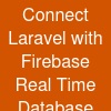 Connect Laravel with Firebase Real Time Database
