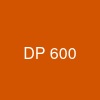 DP 600