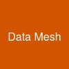 Data Mesh