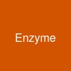 Enzyme