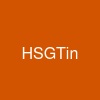 HSGTin