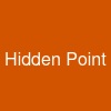 Hidden Point