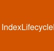 IndexLifecycleManagement