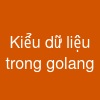 Kiểu dữ liệu trong golang