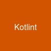 Kotlint