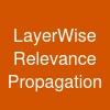 Layer-Wise Relevance Propagation