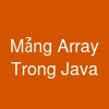 Mảng (Array) Trong Java