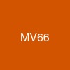 MV66