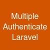 Multiple Authenticate Laravel