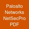 Paloalto Networks NetSec-Pro PDF