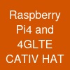 Raspberry Pi4 and 4G-LTE CAT-IV HAT