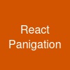 React Panigation