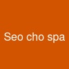 Seo cho spa