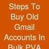 Steps To Buy Old Gmail Accounts In Bulk (PVA