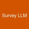Survey LLM