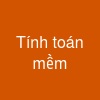 Tính toán mềm