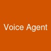 Voice Agent