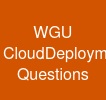 WGU Cloud-Deployment-and-Operations Questions