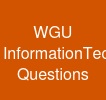 WGU Information-Technology-Management Questions