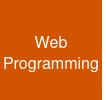 Web Programming