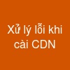 Xử lý lỗi khi cài CDN