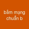 bấm mạng chuẩn b