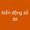 biến động số dư
