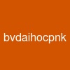 bvdaihocpnk