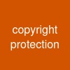 copyright protection