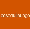 cosodulieungoai