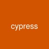 cypress