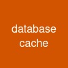 database cache