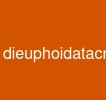 dieuphoidatacnhan