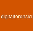 digitalforensicinvestigationexam