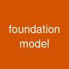 foundation model