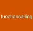 functioncalling