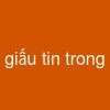 giấu tin trong