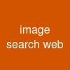 image search web