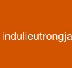 indulieutrongjava