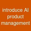 introduce AI product management