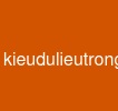kieudulieutrongjava