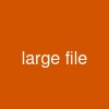 large file