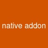 native addon