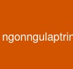 ngonngulaptrinhjava