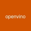 openvino