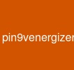 pin9venergizer