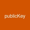 publicKey